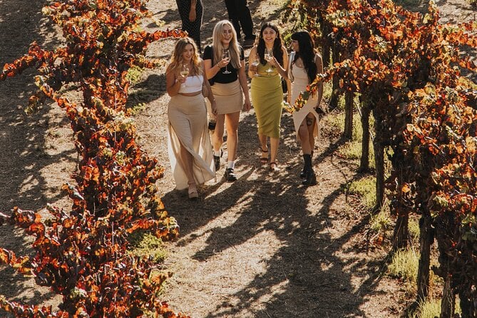 The Ultimate Napa & Sonoma Wine Tour - Informative and Enjoyable Experience
