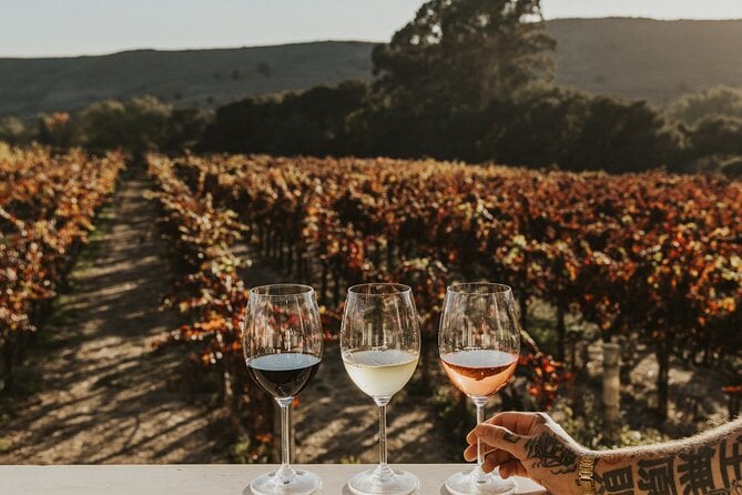 The Ultimate Napa & Sonoma Wine Tour - Clear Communication and Organization