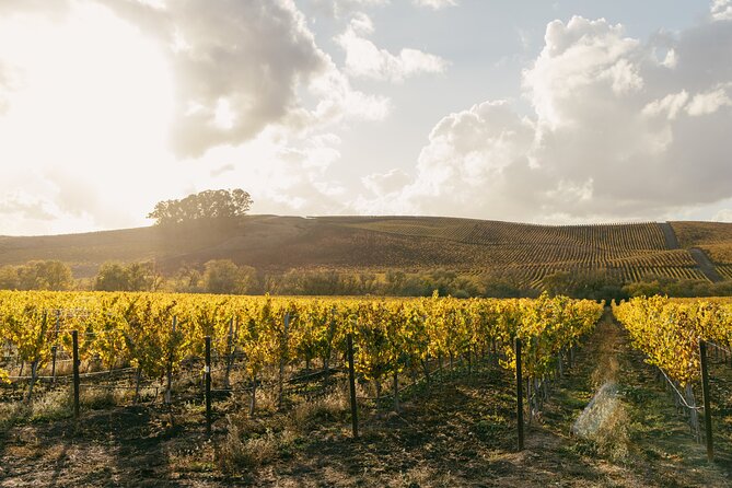 The Ultimate Napa & Sonoma Wine Tour - Common Questions