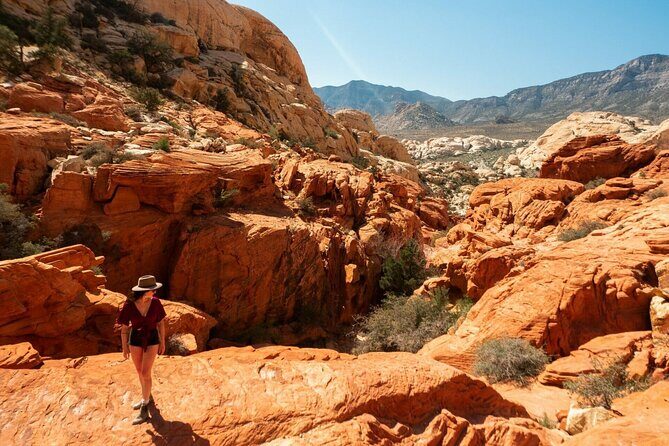 The Ultimate Red Rock Canyon Scenic Experience - Good To Know
