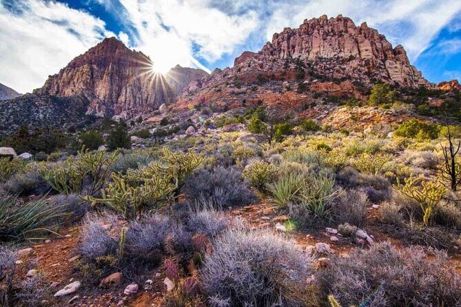The Ultimate Red Rock Canyon Scenic Experience - The Sum Up: Who’s This Tour Best For?