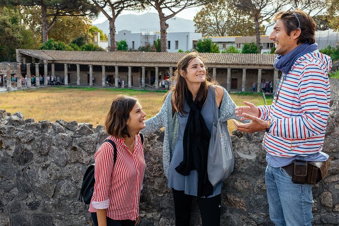 The Ultimate Ruins of Pompeii and Herculaneum Private Day Trip - Inclusions and Services