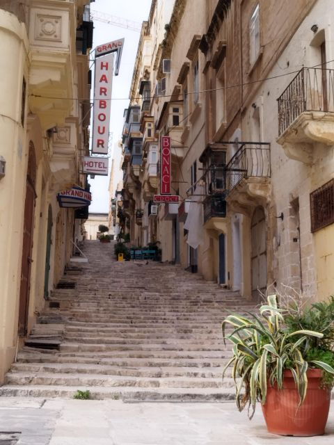 The Ultimate Valletta Evening Food Tour - Culinary Delights