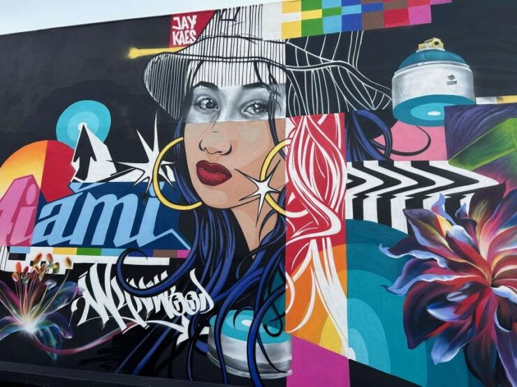 The Ultimate WYNWOOD Loop: Artwalk, Food & Photo Tour - Tour Highlights