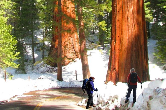 The Ultimate Yosemite National Park Full Experience- 5 Days' Vacation Package - Tour Overview