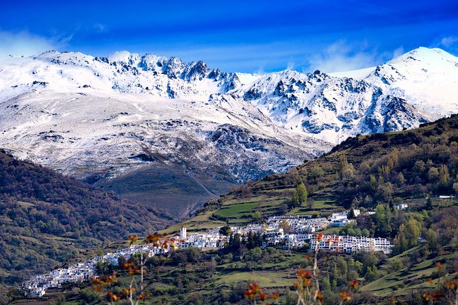 The Unchanged Villages of Alpujarra Small-Group Guided Day Trip - Authentic Local Life