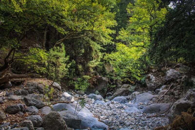 The Unique Tour of Samaria Gorge - Good To Know