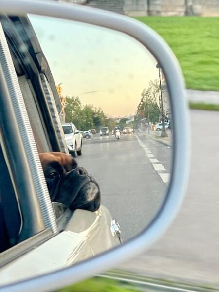 The Unmissable of Paris on a Classic Open-Top Citroën DS - Questions You May Have