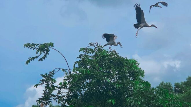 The Untouched Splendor of Lung Ngoc Hoang Nature Reserve - Important Tour Regulations