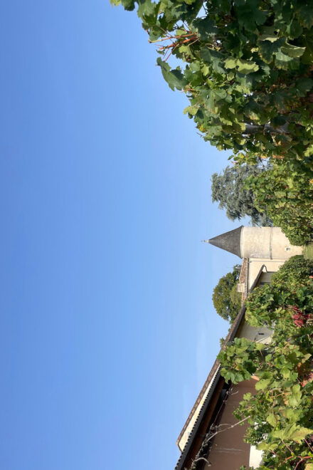 The Vertical at Château Cruzeau - Highlights of the Tour