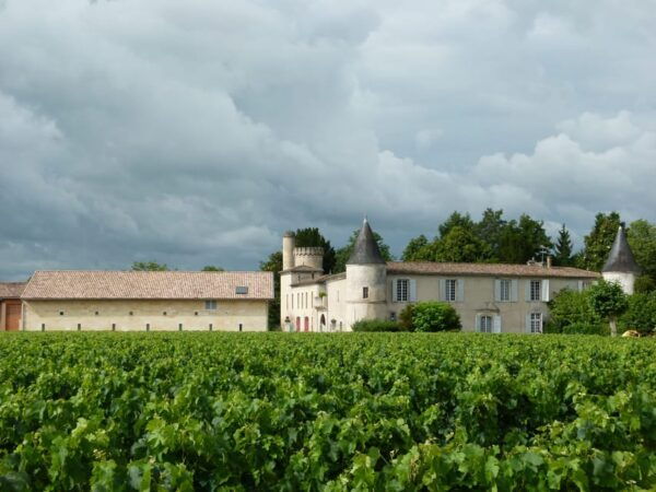 The Vertical at Château Cruzeau - Questions You May Have