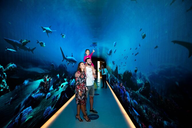 The View at The Palm Dining Experience - Pricing and Booking Details