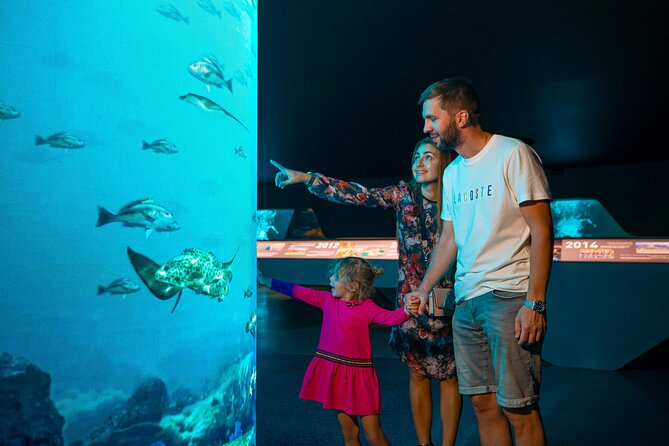 The View at The Palm-Fast Track Next Level - Reviews and Ratings