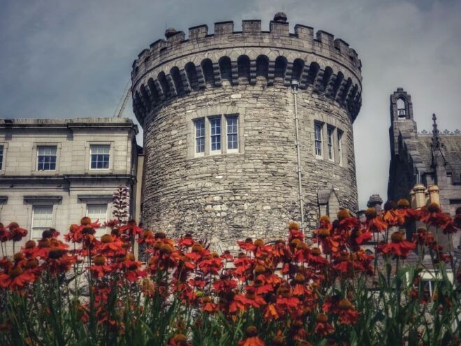 The Vikings in Dublin: Self-Guided Audio Tour in the City - Booking Details