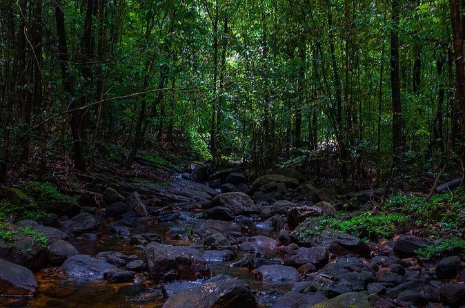 The village crossing and forest hike to old waterfalls  Makandawa Rainforest - Who Will Enjoy This Tour?
