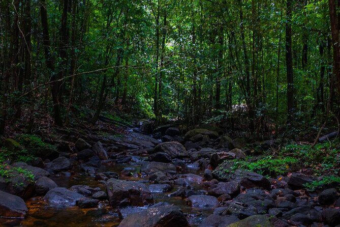 The village crossing and forest hike to old waterfalls  Makandawa Rainforest - The Sum Up