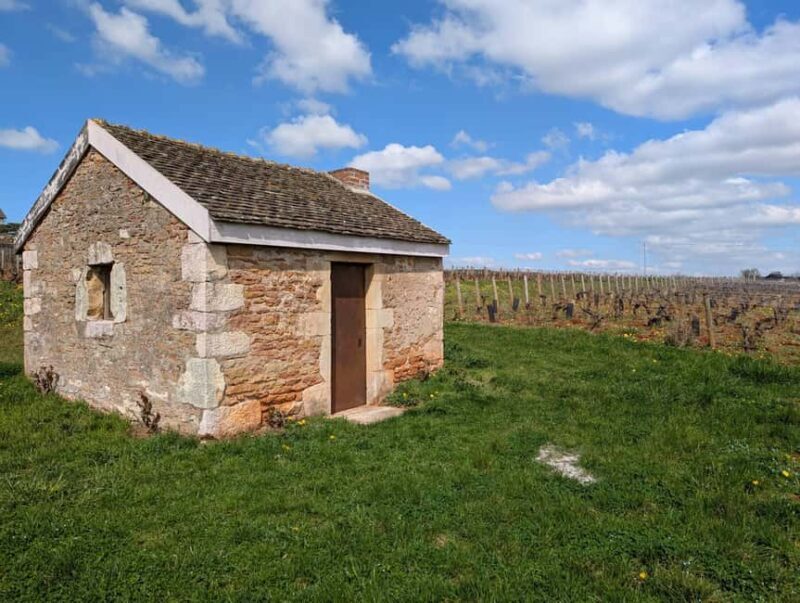 The Vineyard Watchers - Good To Know