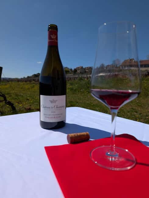 The Vineyard Watchers - A Closer Look at The Vineyard Watchers Tour