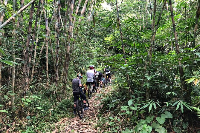 The Volcano Trail - Overview and Activities