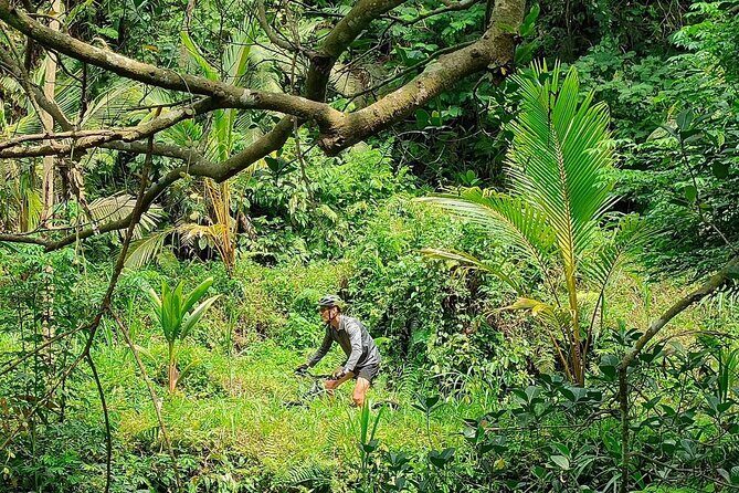 The Volcano Trail  Epic Volcano Cycling Adventure - FAQ