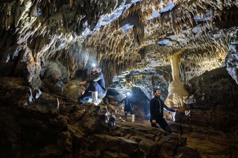 The Waitomo Experience : Okohua Glowworm Cave Tour - An In-Depth Look at the Okohua Glowworm Cave Tour