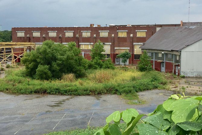 The Walking Dead in the City: Private Atlanta Film Location Tour - Booking Requirements and Recommendations