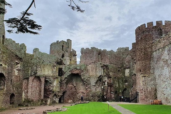 The Wandering Bards Mythical West Wales Tour - Traveler Reviews