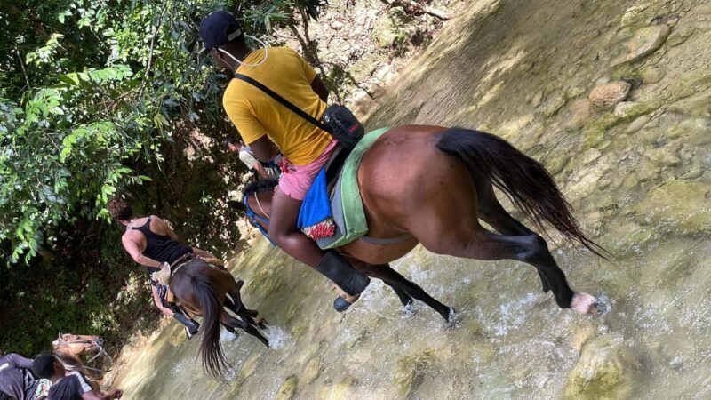 The waterfall of the lemon : Explore the waterfall of the lemon and know its rivers mountains - Good To Know