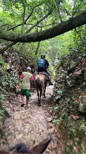 The waterfall of the lemon : Explore the waterfall of the lemon and know its rivers mountains - What to Expect from the Experience