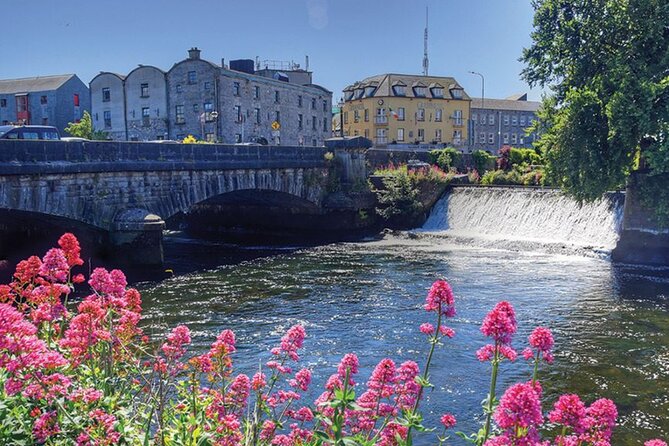 The Welcome to Galway Walking Tour - Reviews