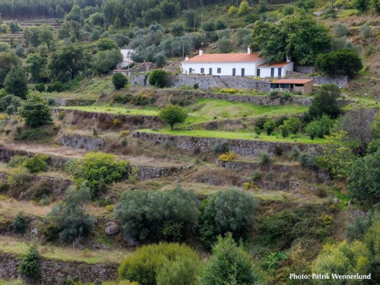 The Western Wild Algarve With a Luxury Picnic and Extra Wow - Pickup Logistics and Accommodations
