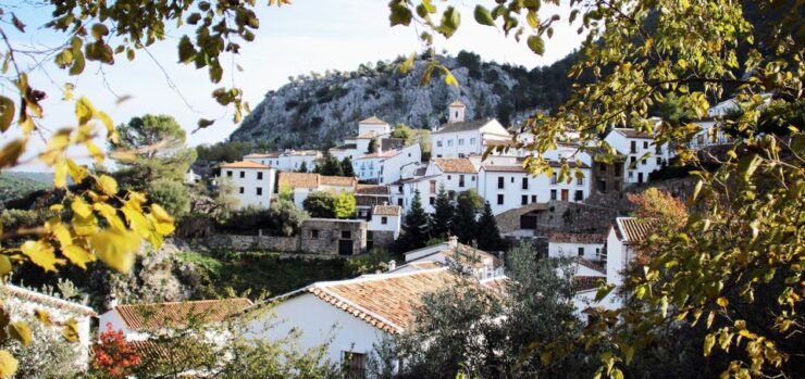 The White Towns of Andalusia: Private Day Trip From Cádiz - Activity Details