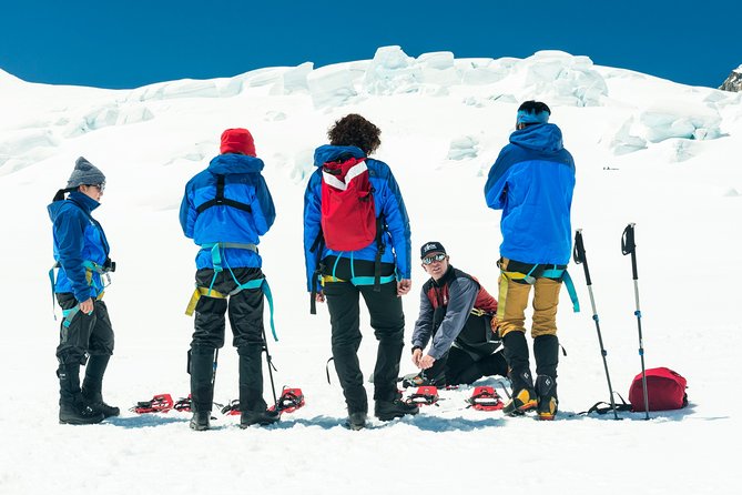 The Wigley: Top of the Tasman Glacier Hike - Overview of the Experience