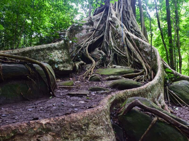 The Wilds: Khao Yai Trekking and Stargazing 2-Day Tour - Good To Know