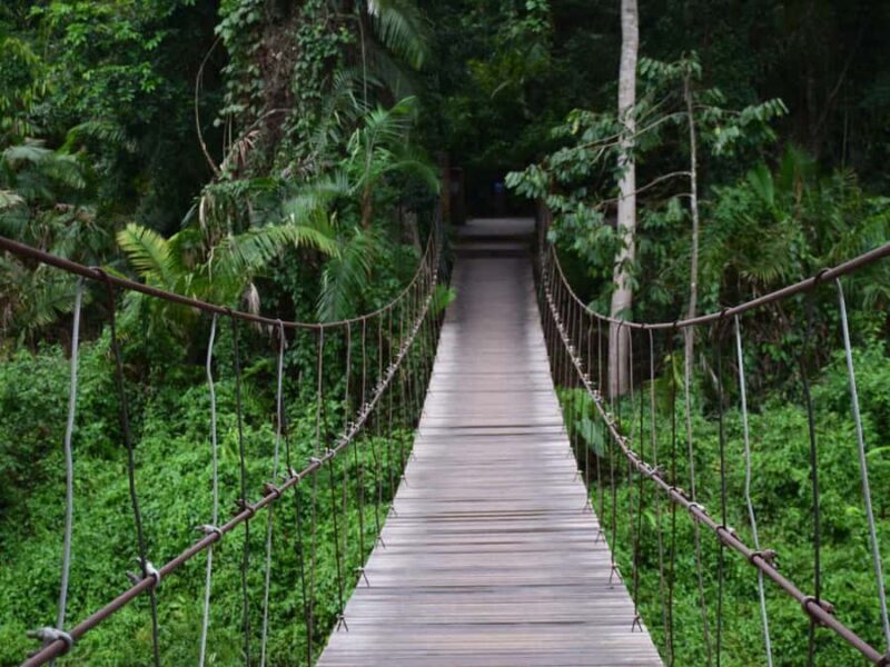 The Wilds: Khao Yai Trekking and Stargazing 2-Day Tour - Authentic Experiences from Reviews