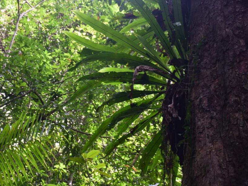 The Wilds: Khao Yai Trekking and Stargazing 2-Day Tour - An In-Depth Look at the 2-Day Itinerary