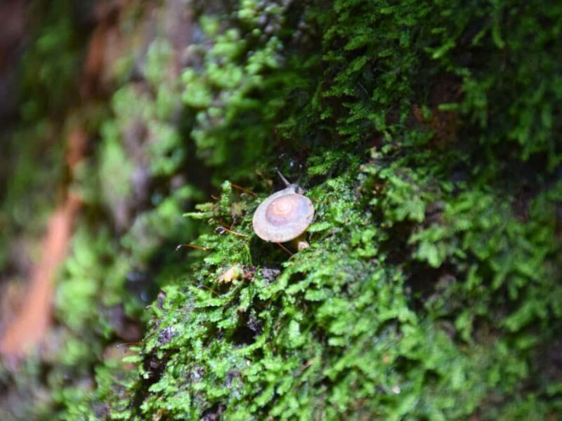 The Wilds: Khao Yai Trekking and Stargazing 2-Day Tour - FAQ