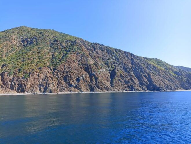 THE WINDOW: OCEAN SAFARI & CERRALVO ISLAND 2 PEOPLE PACKAGE - Activity Details