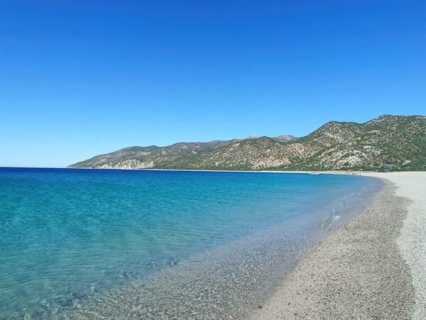 THE WINDOW: OCEAN SAFARI & CERRALVO ISLAND 2 PEOPLE PACKAGE - Requirements and Restrictions