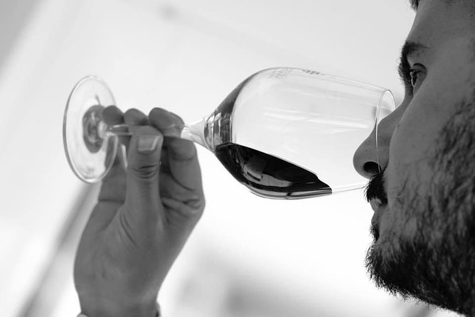 The Wine Experience - Casa Rojo - Price and Reviews