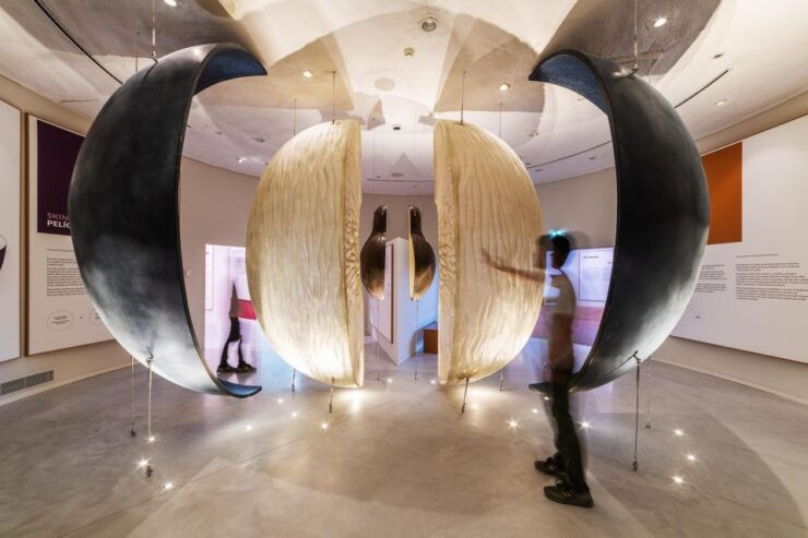 The Wine Experience + Personalised Tasting WOW Pack - Experience Highlights