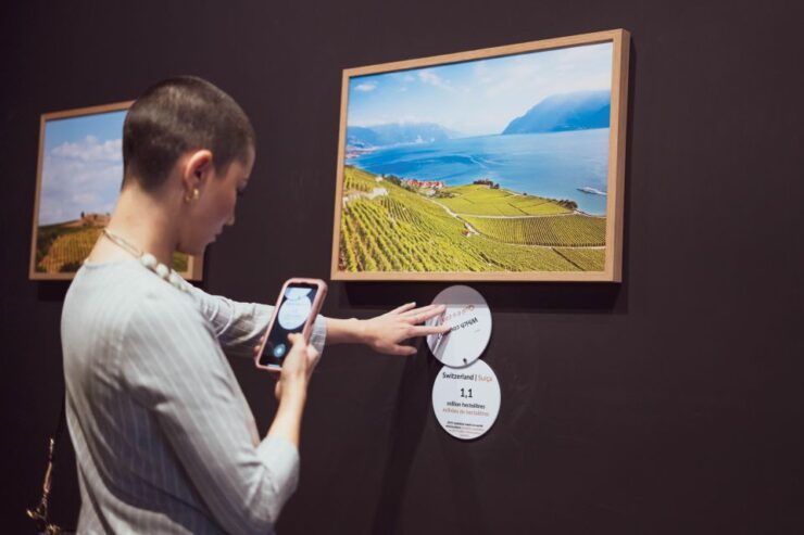 The Wine Experience + Personalised Tasting WOW Pack - Full Description