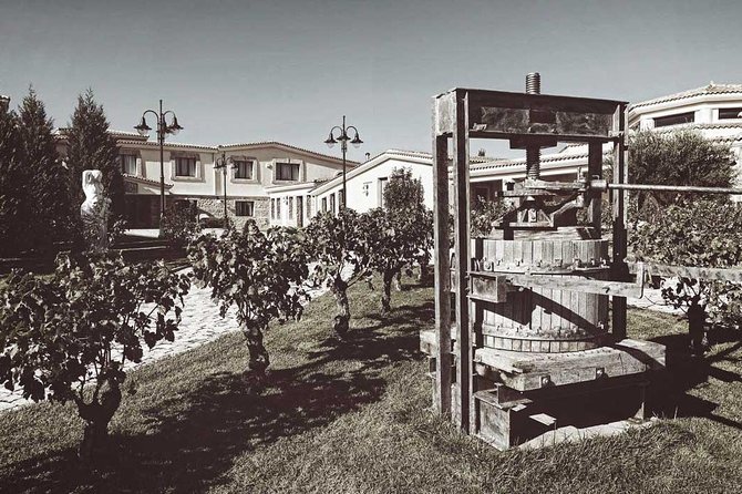 The Wine Lovers Private Tour at a Greek Winery - Pricing and Booking Details