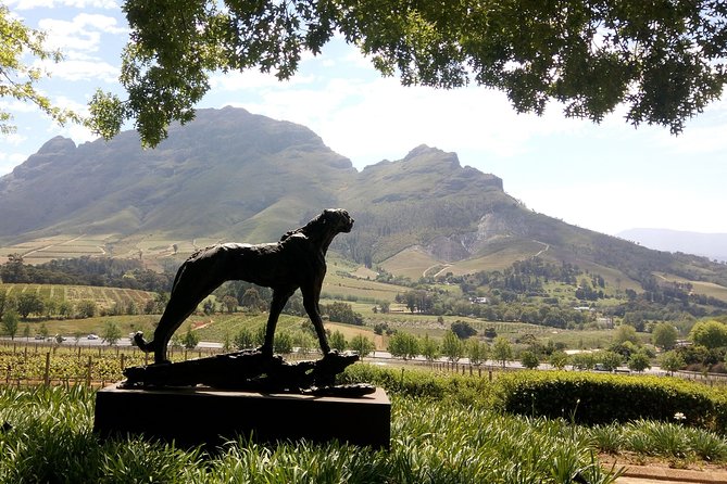 The Wine Story of Cape Town 2020 - Cape Towns Wine Heritage