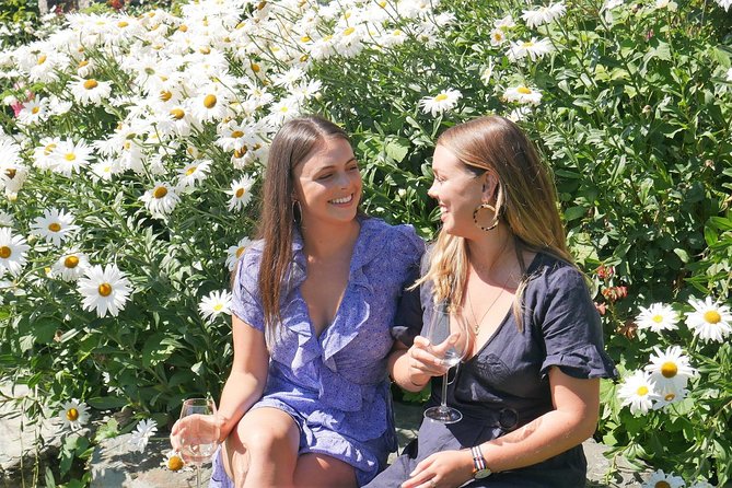 The Wine Trail Tour - The Sum Up