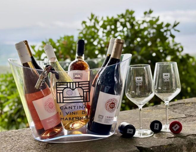 The Wines of Maremma, the Grape Varieties of Maremma Tuscany - Winemaking Tradition of Maremma