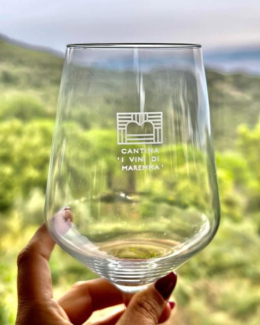 The Wines of Maremma, the Grape Varieties of Maremma Tuscany - Ansonica - The White Grape