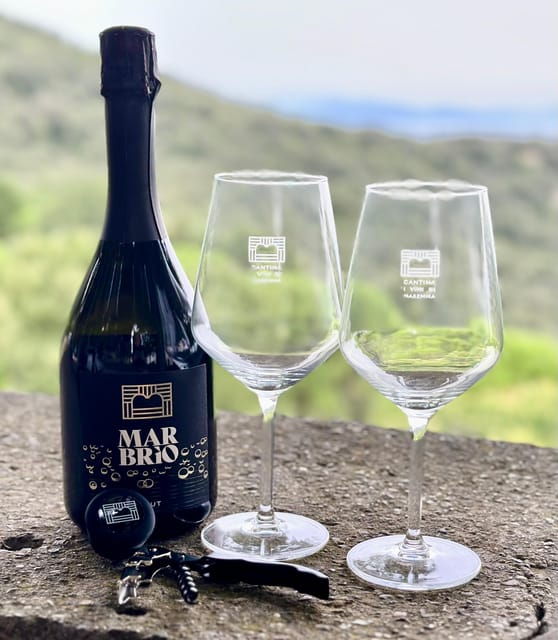 The Wines of Maremma, the Grape Varieties of Maremma Tuscany - Ciliegiolo - The Red Grape