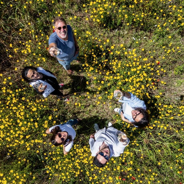 The Wines of Maremma, Tuscan Maremma Red & White - Wine Tasting Experience