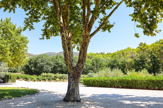 The Wines of the Luberon, the Château De Lourmarin & Bastide Du Laval Olive Oil - Bastide Du Laval Olive Oil Producer